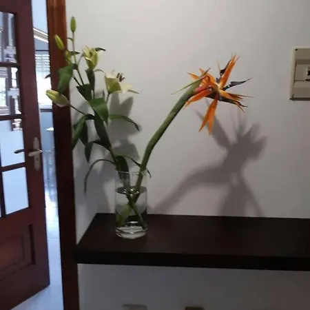 Apartamento Con Terraza Y Vistas Al Mar Apartment Bueu
